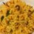 Summer Special Raw Mango Rice Recipe