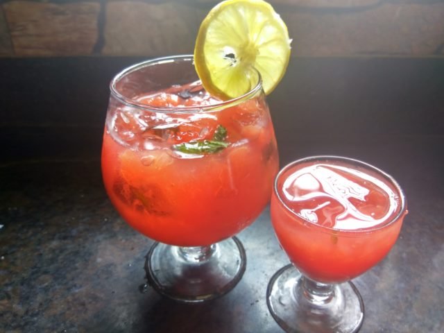 Watermelon Mojito